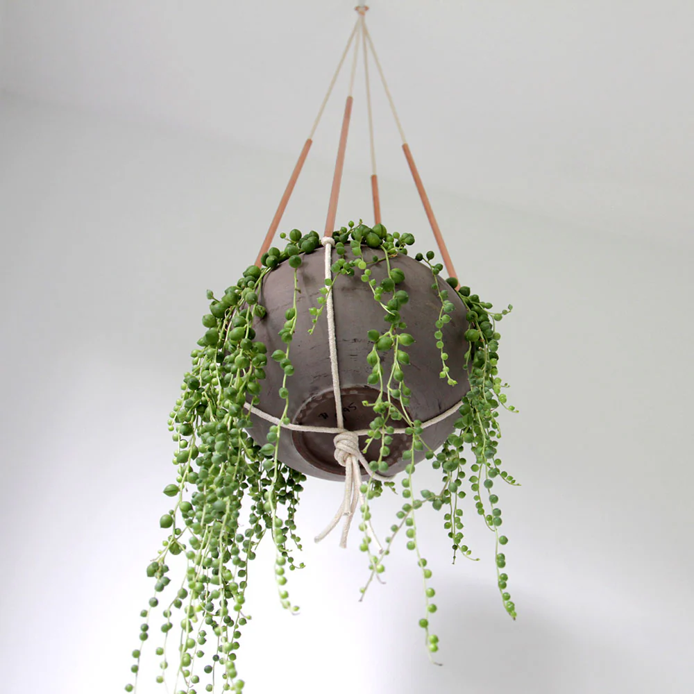 Modern Copper and Cotton Plant Hanger - Image 5